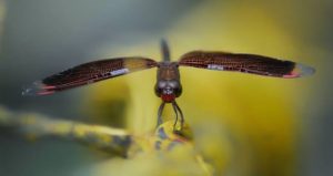 WhatsApp Image 2021-10-21 at 23.00.31