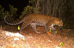 WhatsApp Image 2021-10-24 at 00.22.21