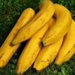 buah pisang