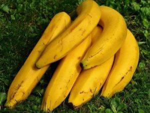 buah pisang