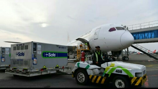 MAKI Ungkap Dugaan Pungli oleh Oknum Pegawai Bea dan Cukai di Bandara Soetta
