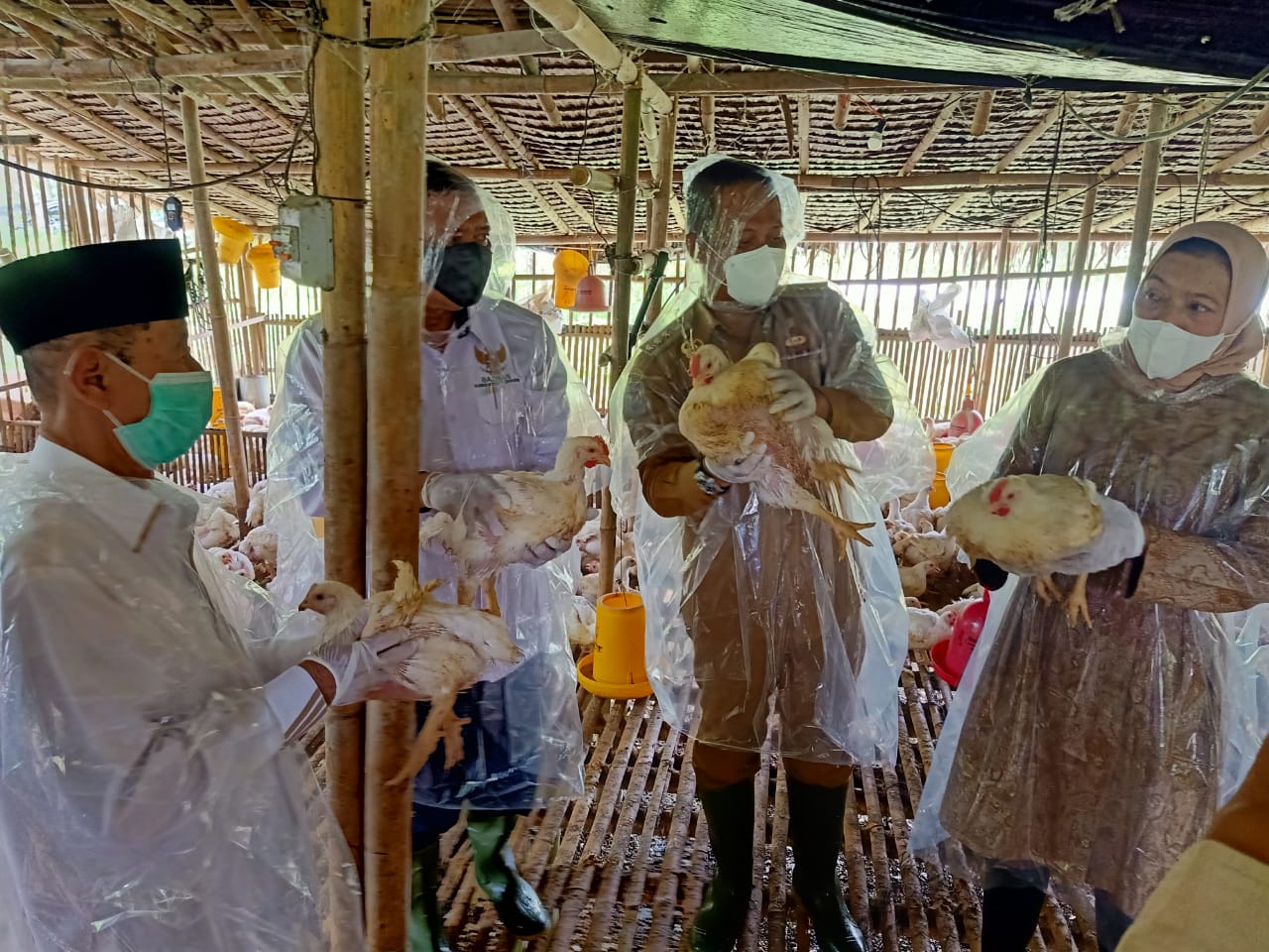 WhatsApp Image 2022-02-03 at 18.55.19