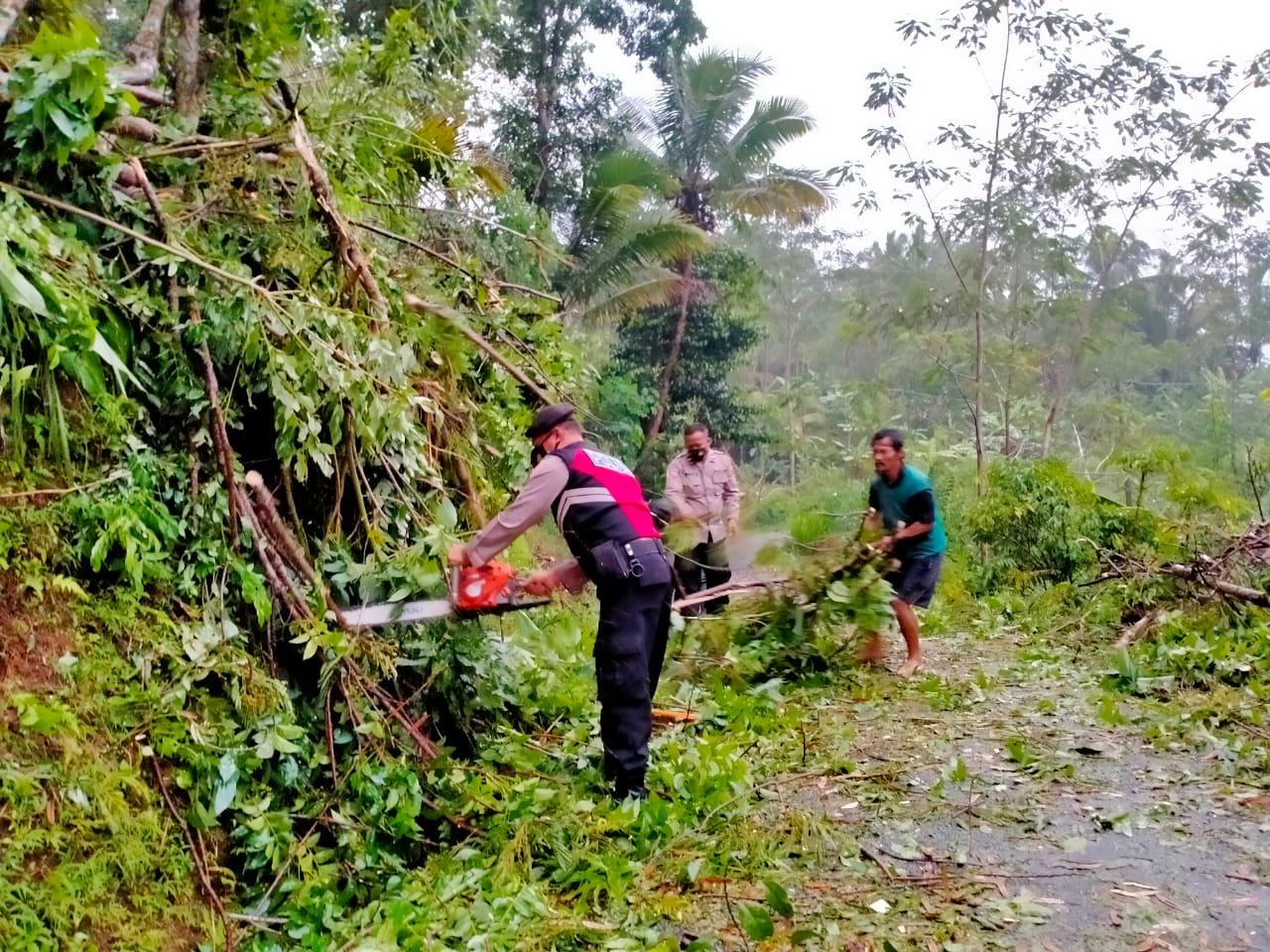 WhatsApp Image 2022-02-18 at 06.27.03