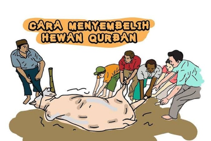 WhatsApp Image 2022-06-01 at 08.55.11