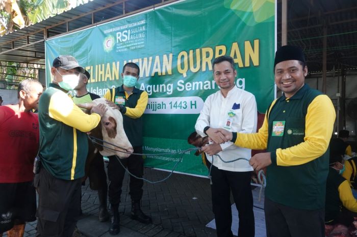 Dirut RSI Sultan Agung Semarang dr Said Shofwan menyerahkan seekor sapi hewan kurban kepada ketua Panitia Idul Adha 1443H M Arif Hidayat SPd.I