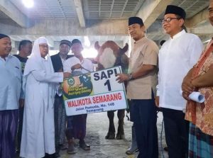 WhatsApp Image 2022-07-10 at 17.44.01