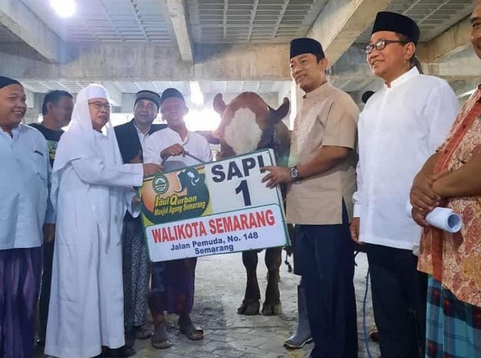 WhatsApp Image 2022-07-10 at 17.44.01