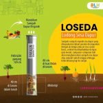 , Loseda memiliki keuntungan yang nantinya sisa sampah yang membusuk bisa dijadikan pupuk kompos