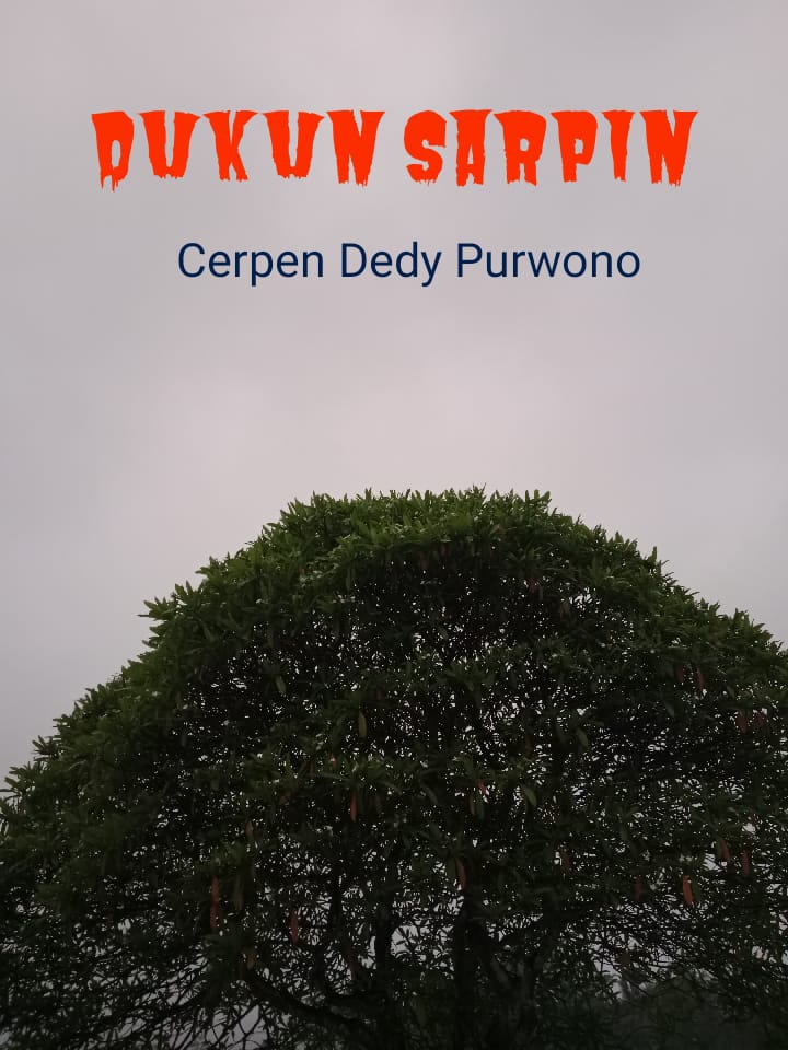 WhatsApp Image 2024-10-28 at 18.24.12