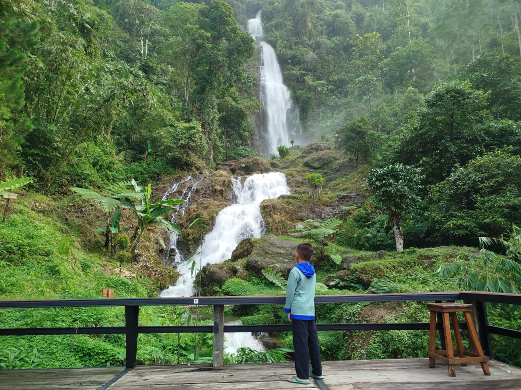 WhatsApp Image 2024-11-24 at 14.48.06