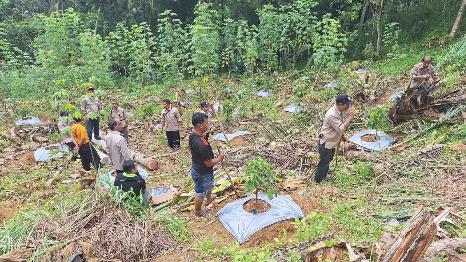 IMG-20250127-WA0024(1)