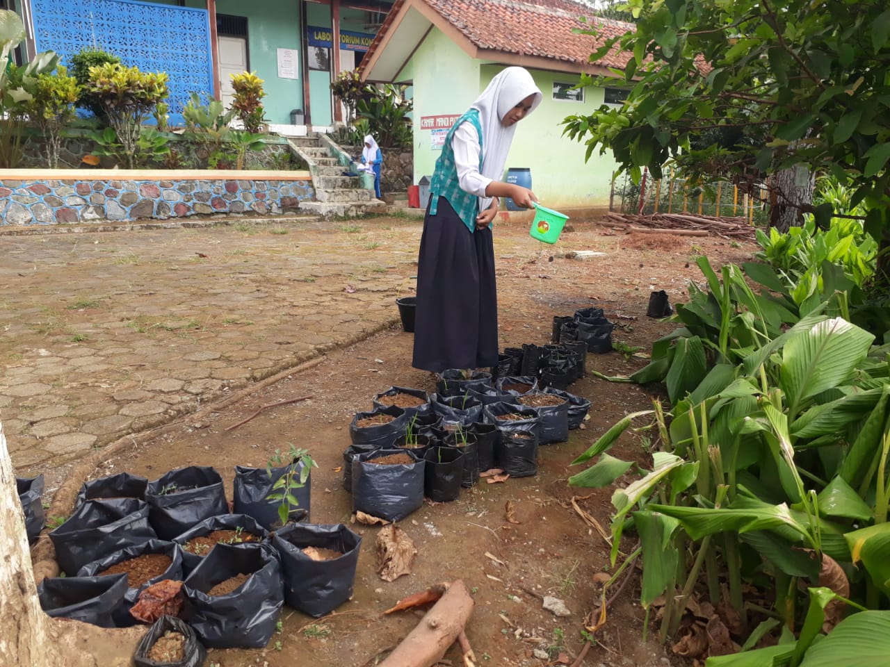 WhatsApp Image 2025-02-05 at 13.33.40