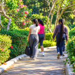 Tiga perempuan berjalan di jalur taman yang dikelilingi pepohonan dan tanaman hijau.